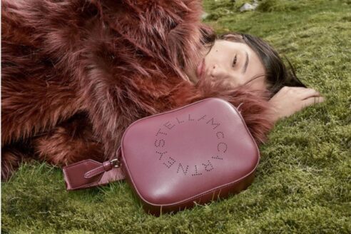 3088397_stellamccartney_660-492x328.jpg