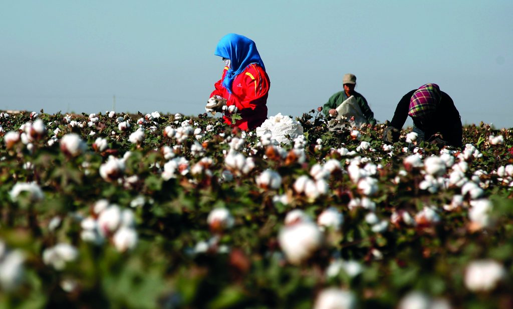 UK government challenged over Uyghur cotton imports