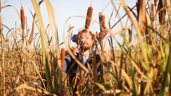 Gaining ground: The benefits of regenerative farming