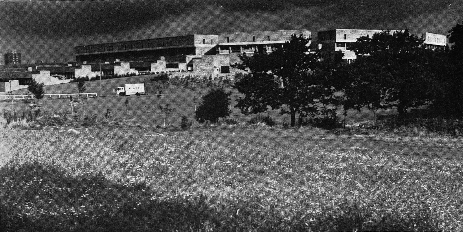 Mike Neylan Michael Neylan dies aged 81