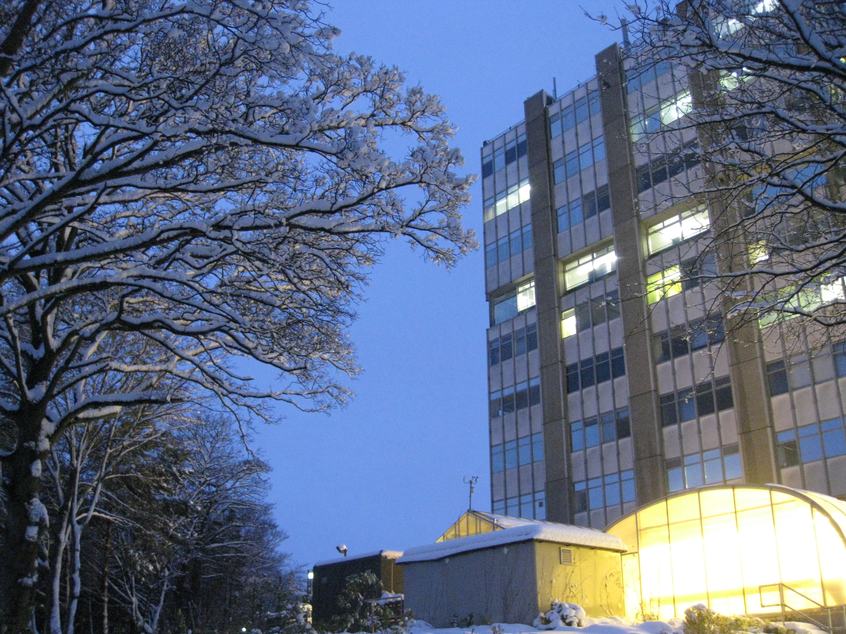 Daniel Rutherford Building University of Edinburgh hunts for architect