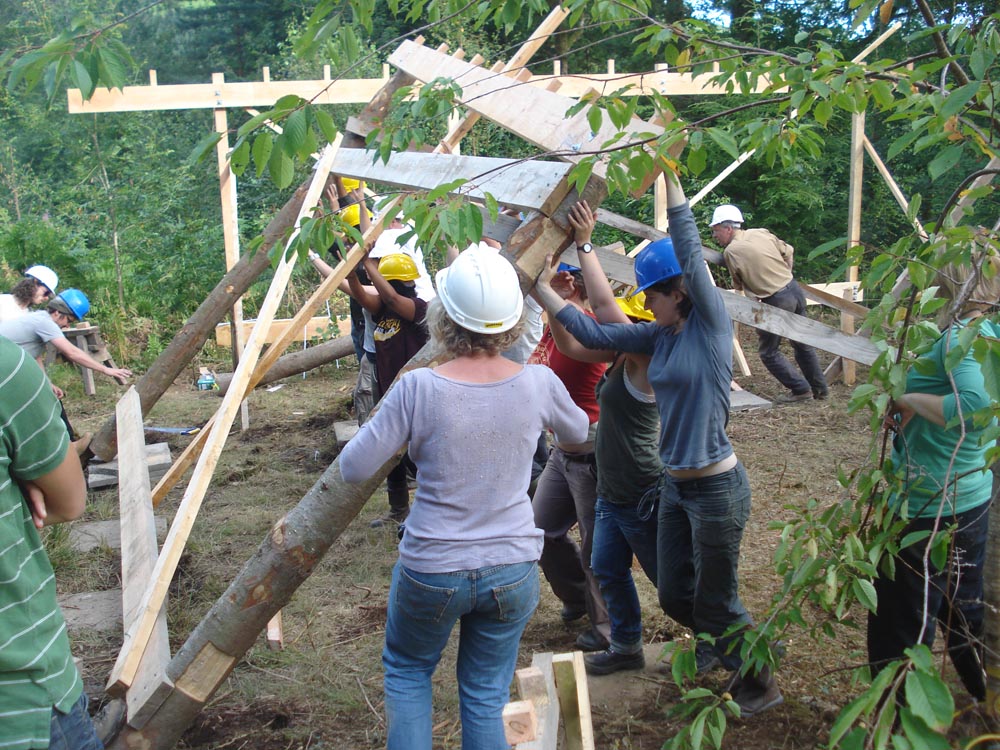 Architecture essay examples image