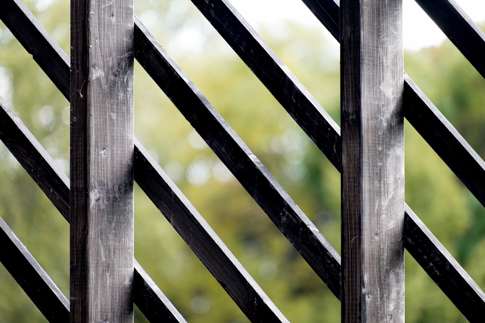 Claridge Architects unveils Queen’s Park pavilion