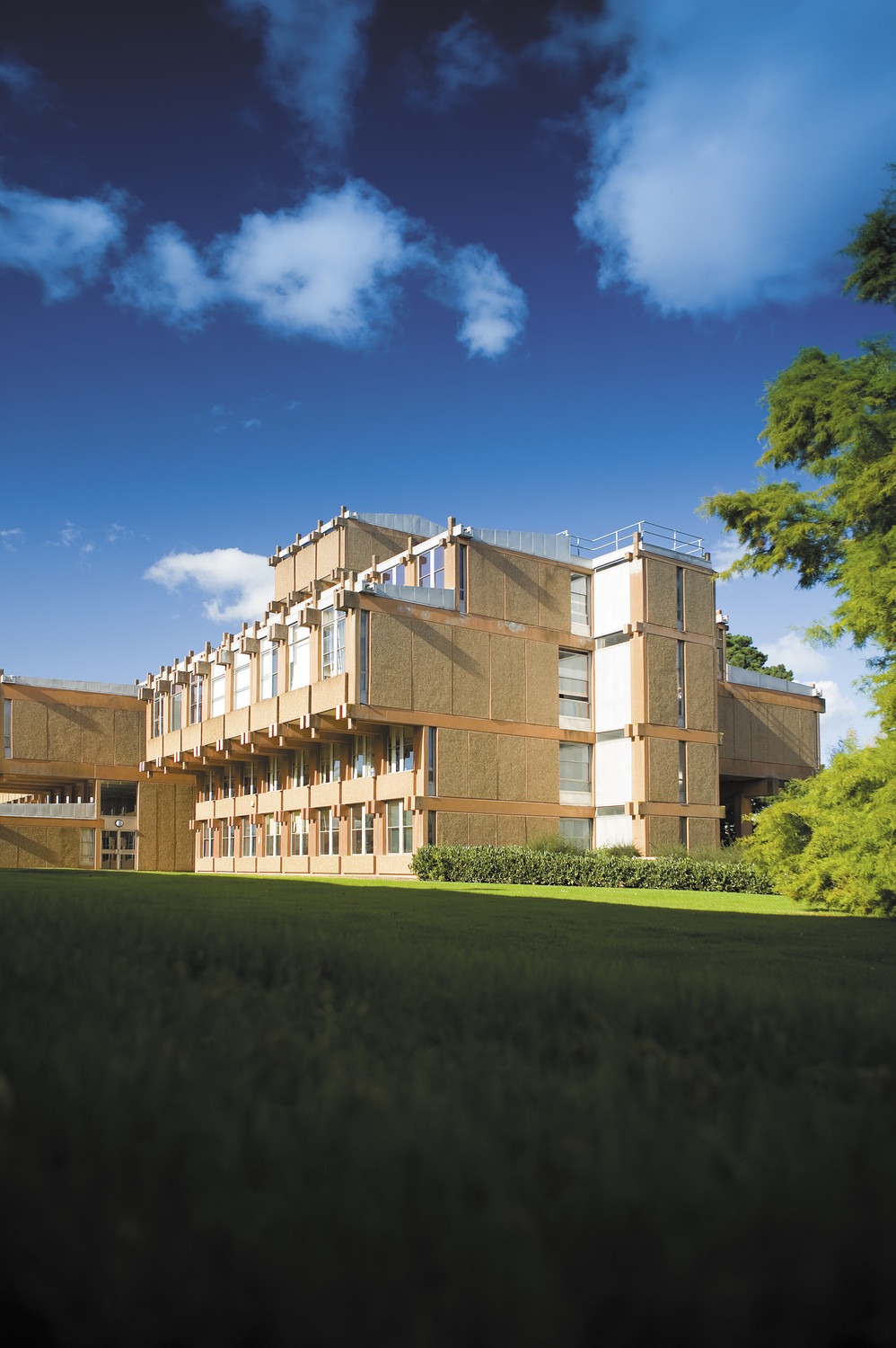 University of Reading launches architecture school