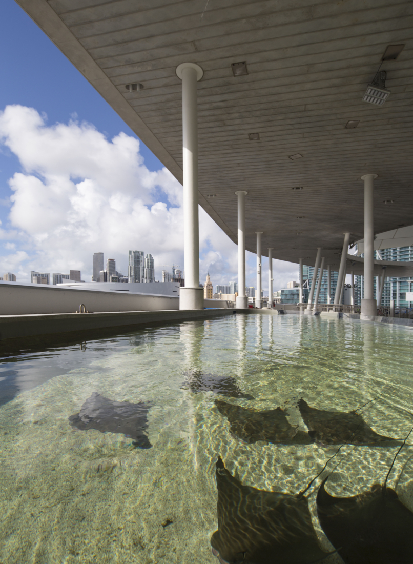 Oculus forms centrepiece of Grimshaw’s Frost Science Museum in Miami
