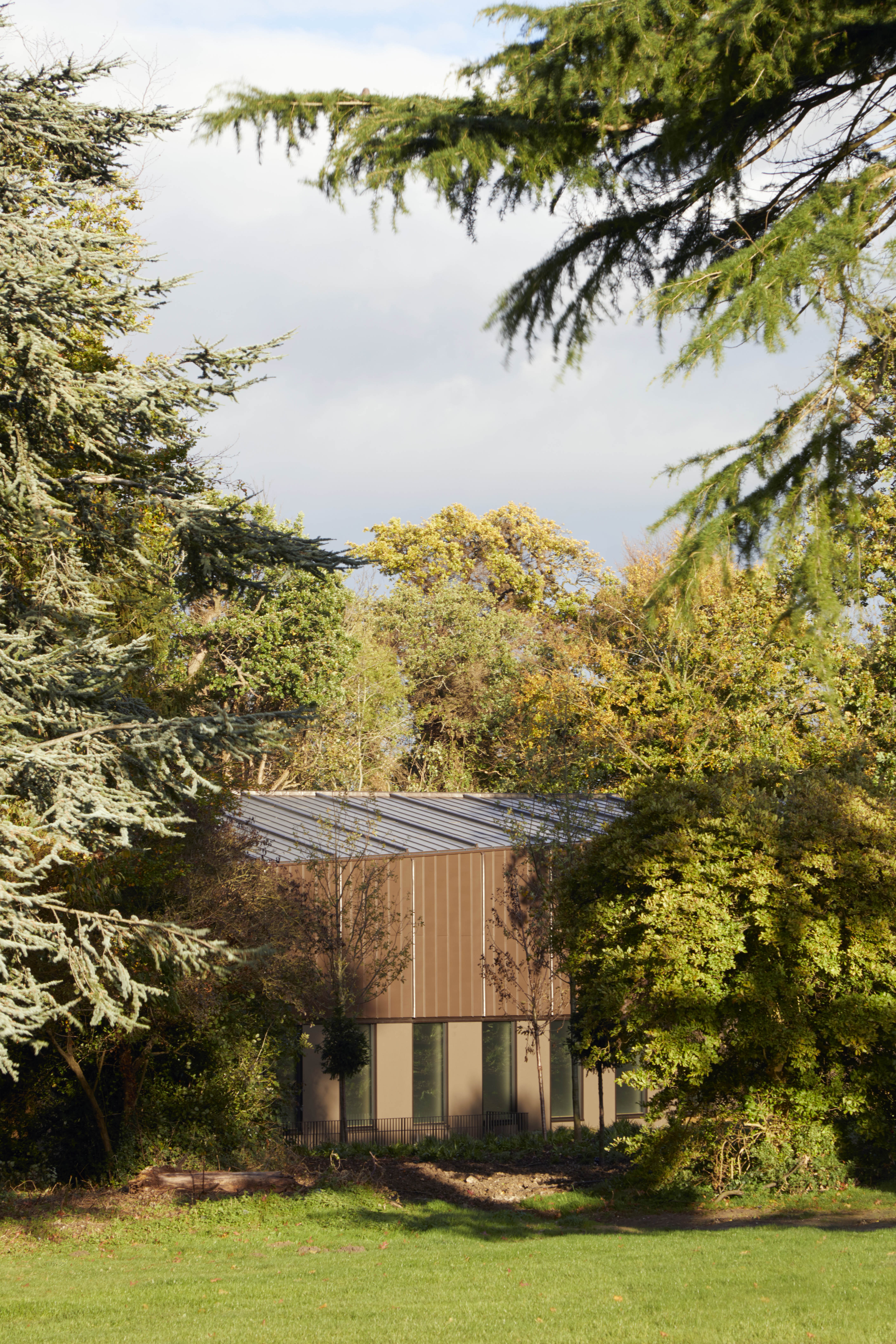 Hawkins\Brown completes engineered timber school swimming pool