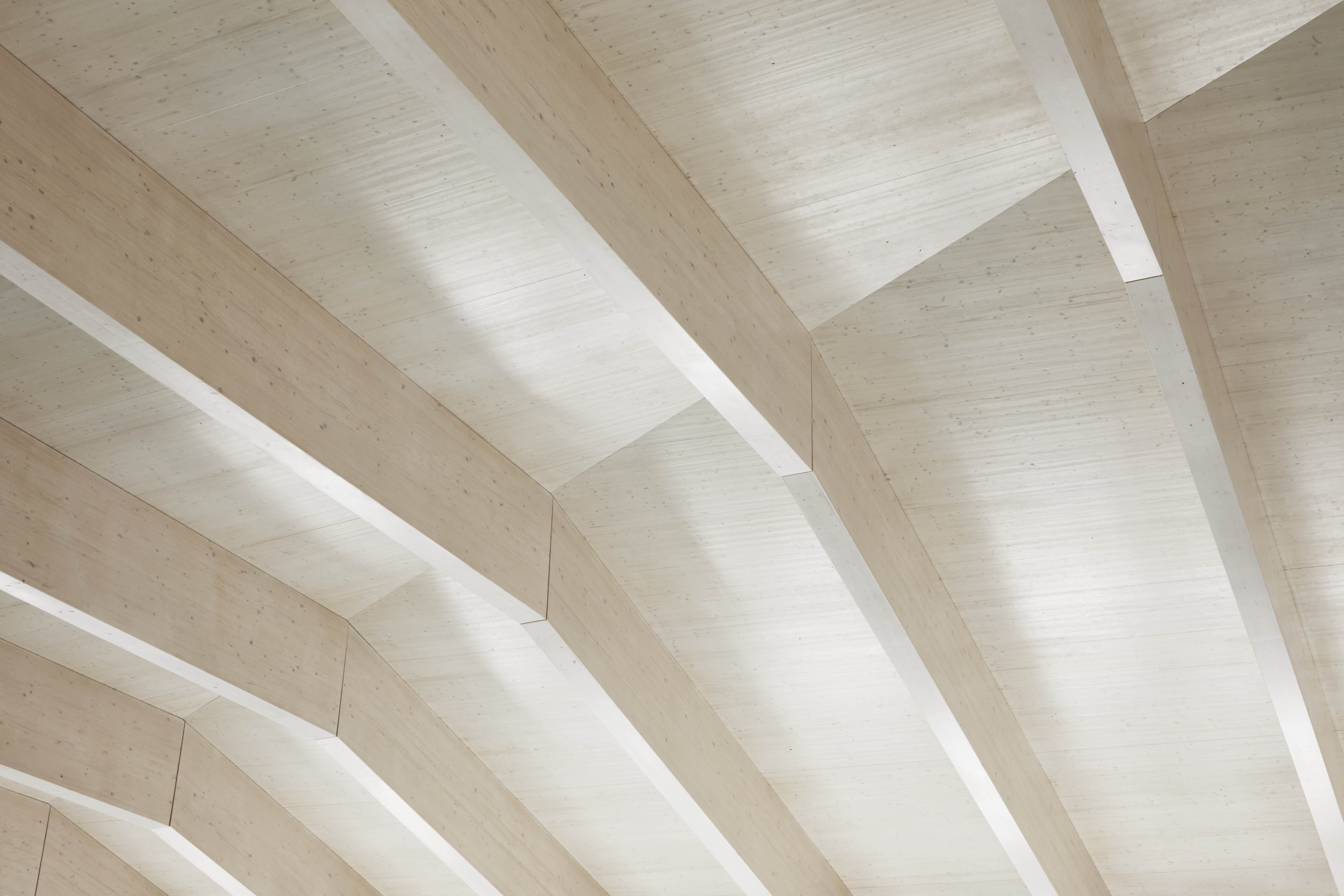 Hawkins\Brown completes engineered timber school swimming pool