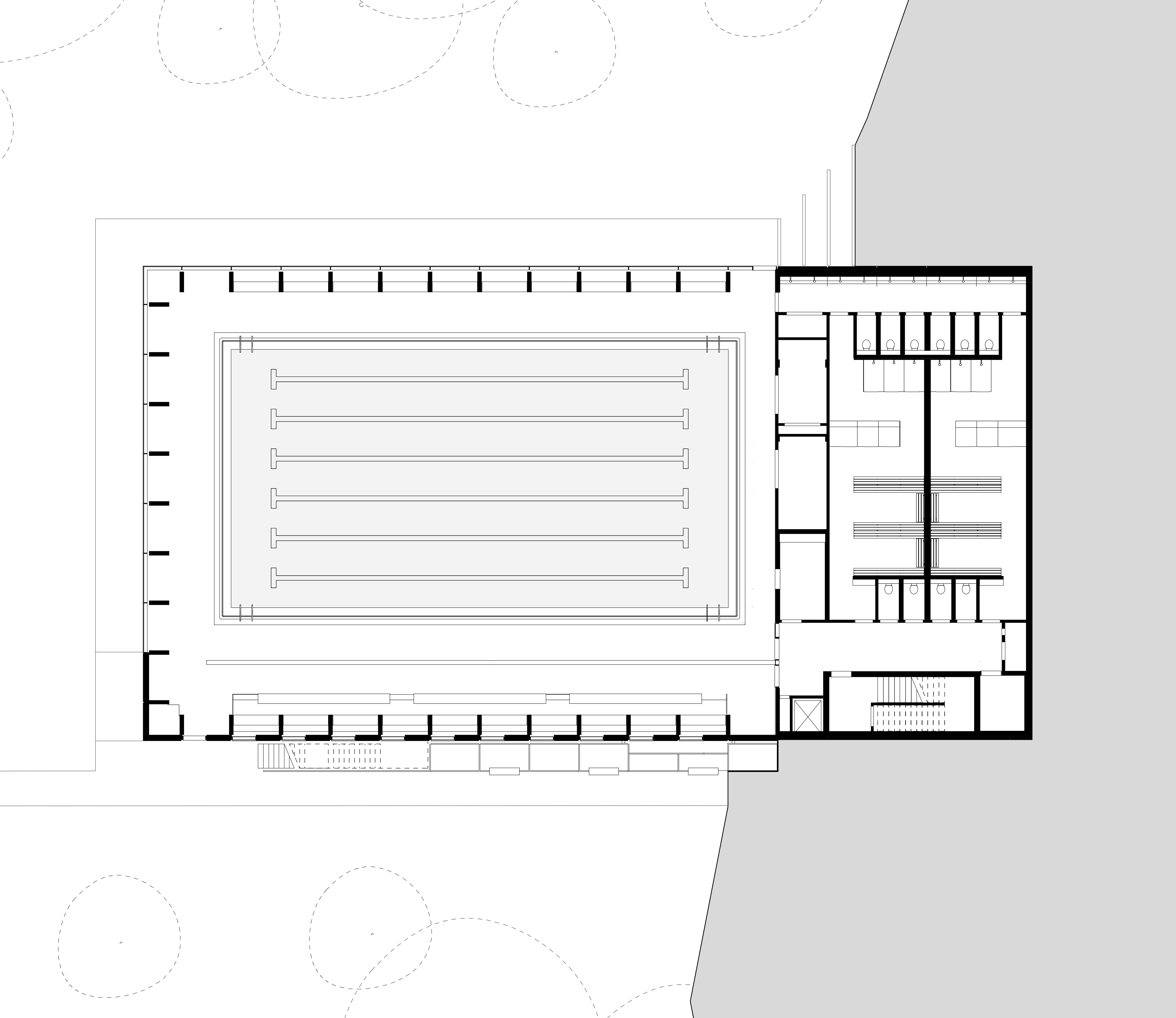 Hawkins\Brown completes engineered timber school swimming pool