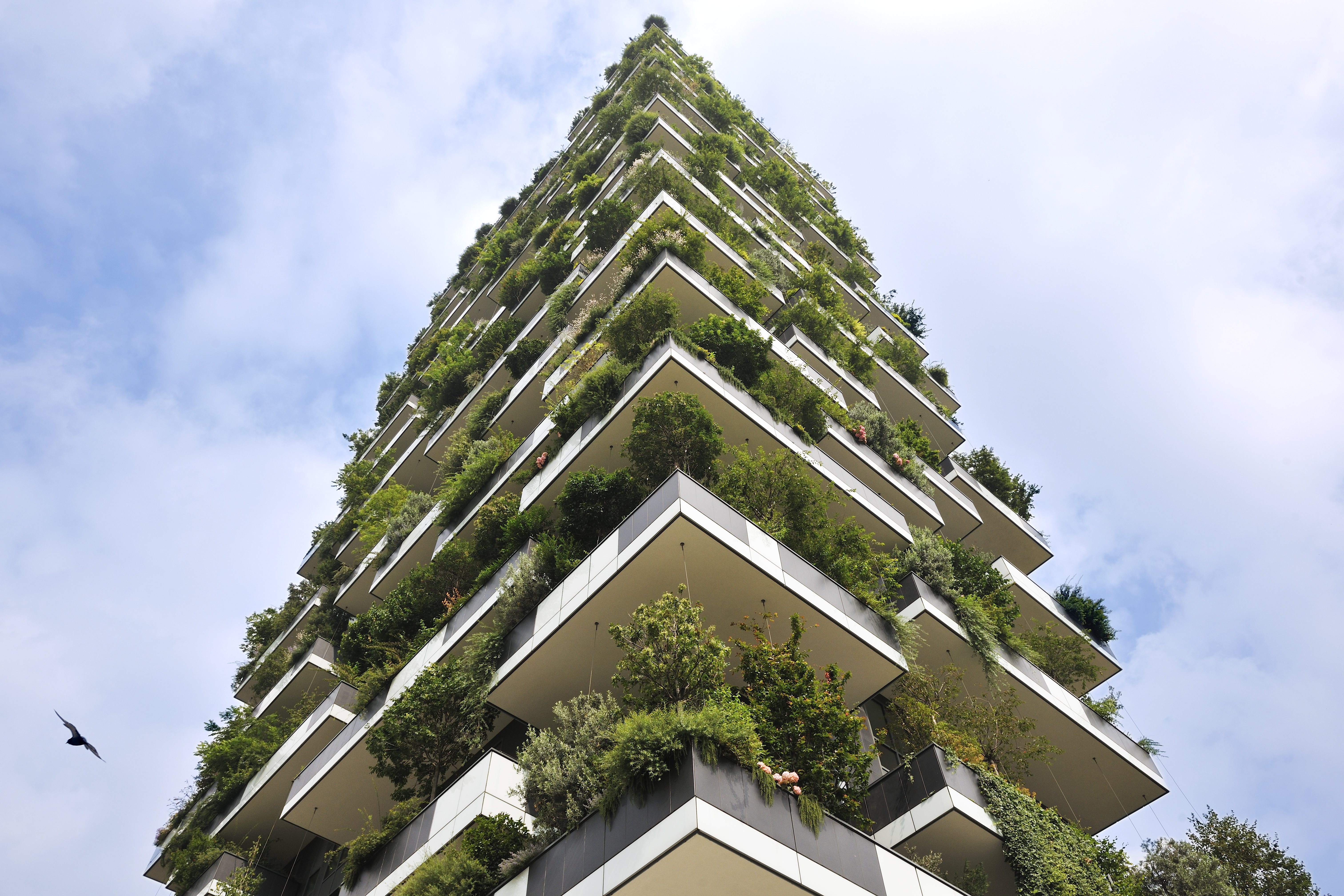 vertical forest 2026 Paolo  Rosselli PRESSIMAGE 1  1