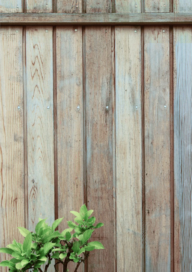 Hurley and Hughes’ Kentish house draws on agricultural vernacular