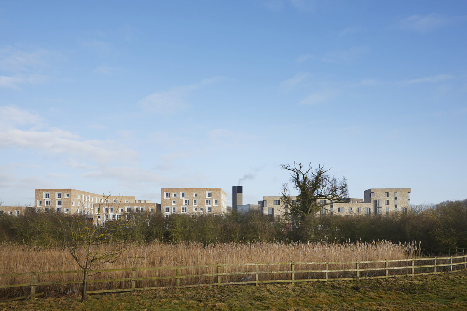 Mikhail Riches’ Norwich council housing wins inaugural Neave Brown Award