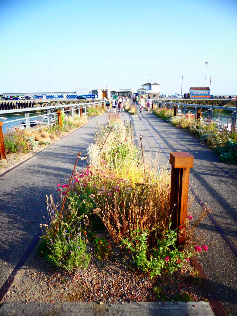 ACME regenerates Folkestone harbour seafront in Kent