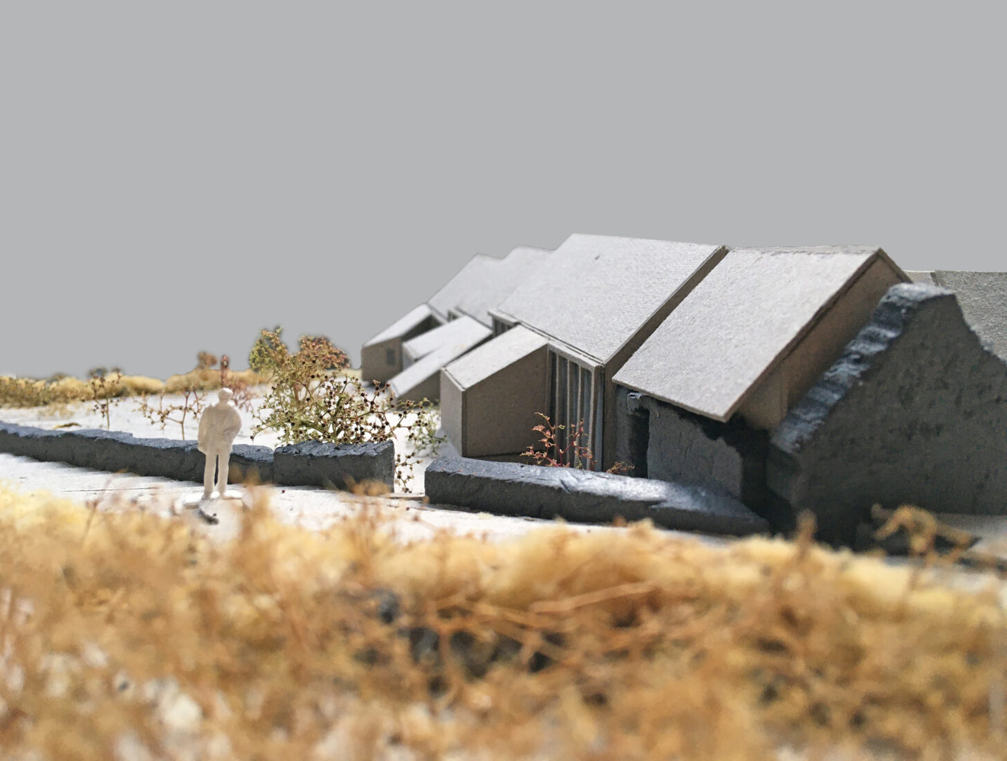 AJ Small Projects winner David Leech submits West Cork house plans