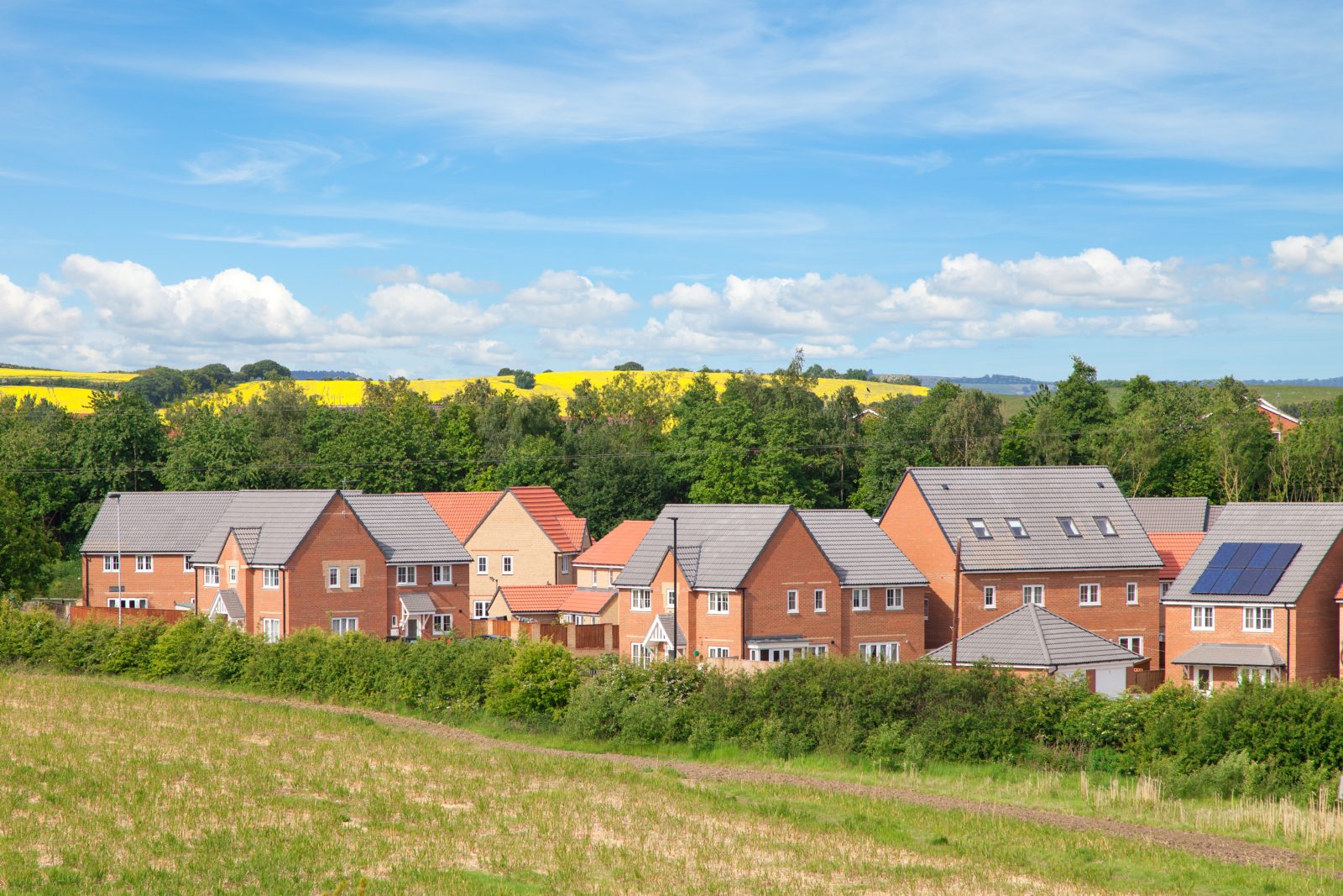 ‘Build, build, build – but not in my constituency’