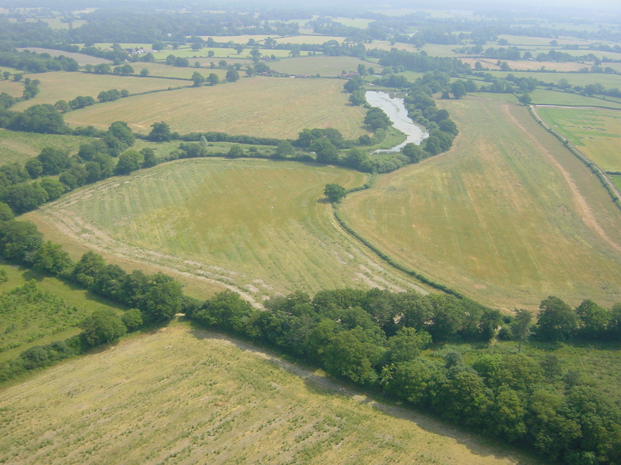 AJ Climate Champions podcast Rewilding expert Isabella Tree