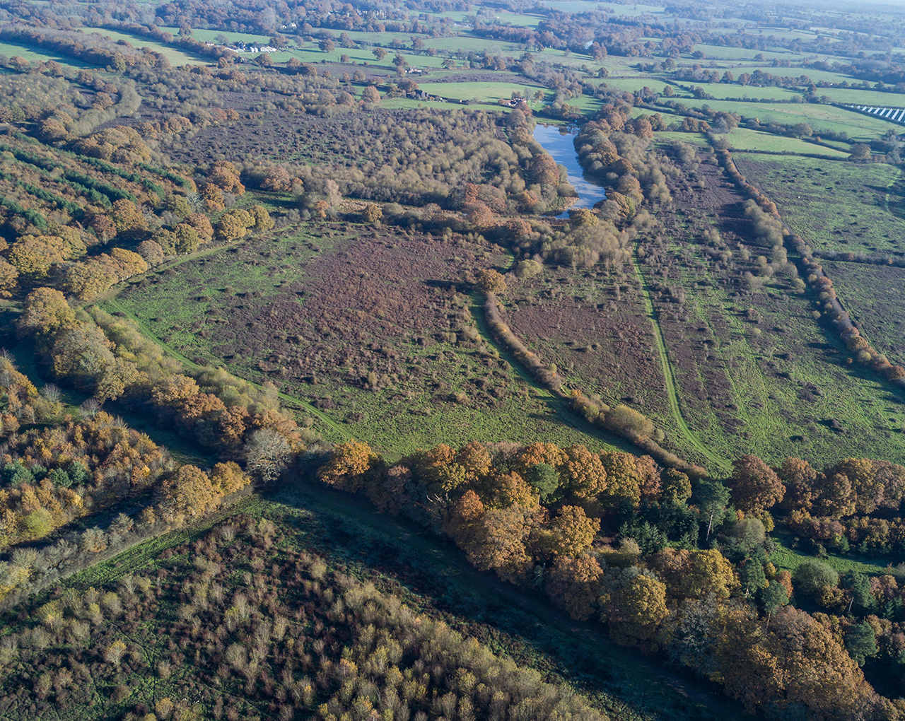 AJ Climate Champions podcast Rewilding expert Isabella Tree