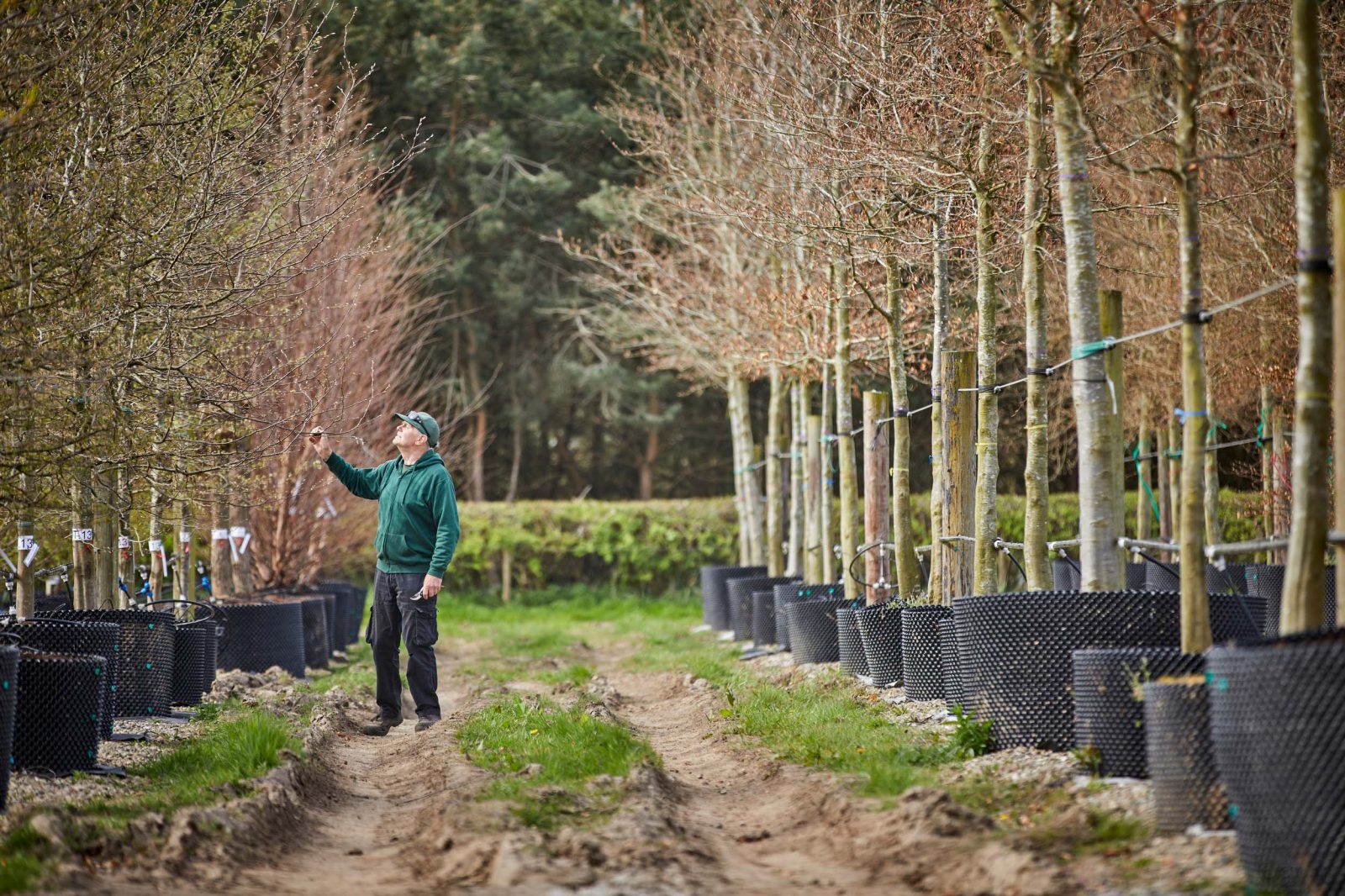 In practice Studio Egret West resurrects a river in central Manchester