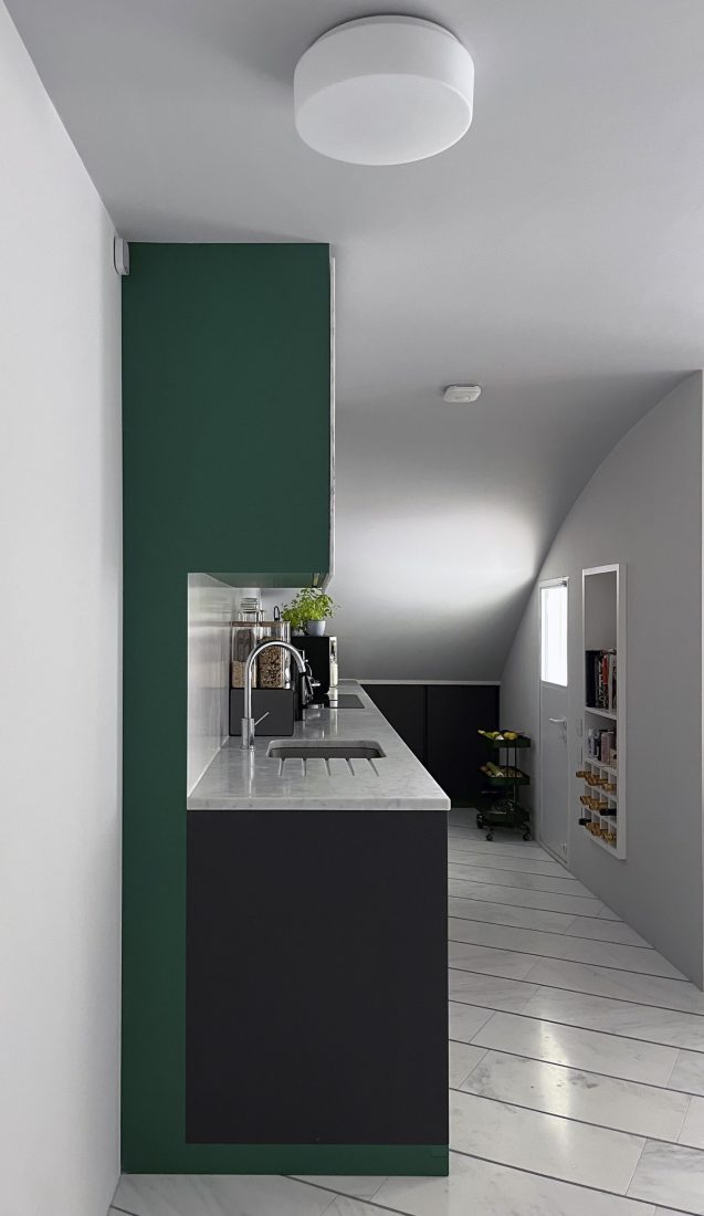 Case study: Belsize Park House by David Leech Architects