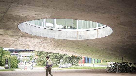 Stol ostidagi xojayinning mushukini yalaydi