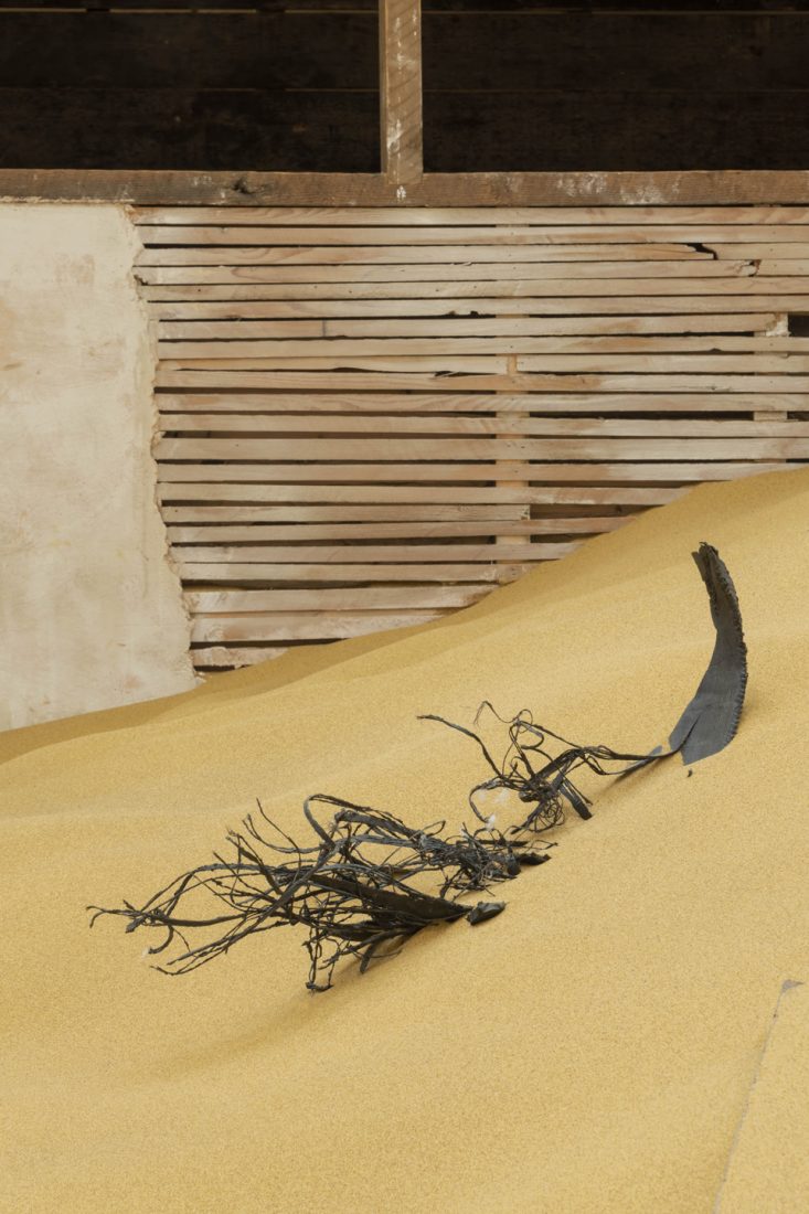 Review ‘Extinction Beckons’ Mike Nelson at the Hayward