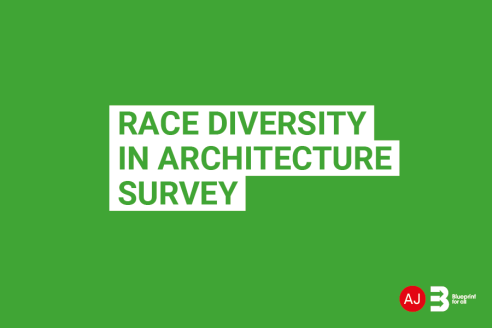 RACE-DIVERSITY-BANNER-492x328.png