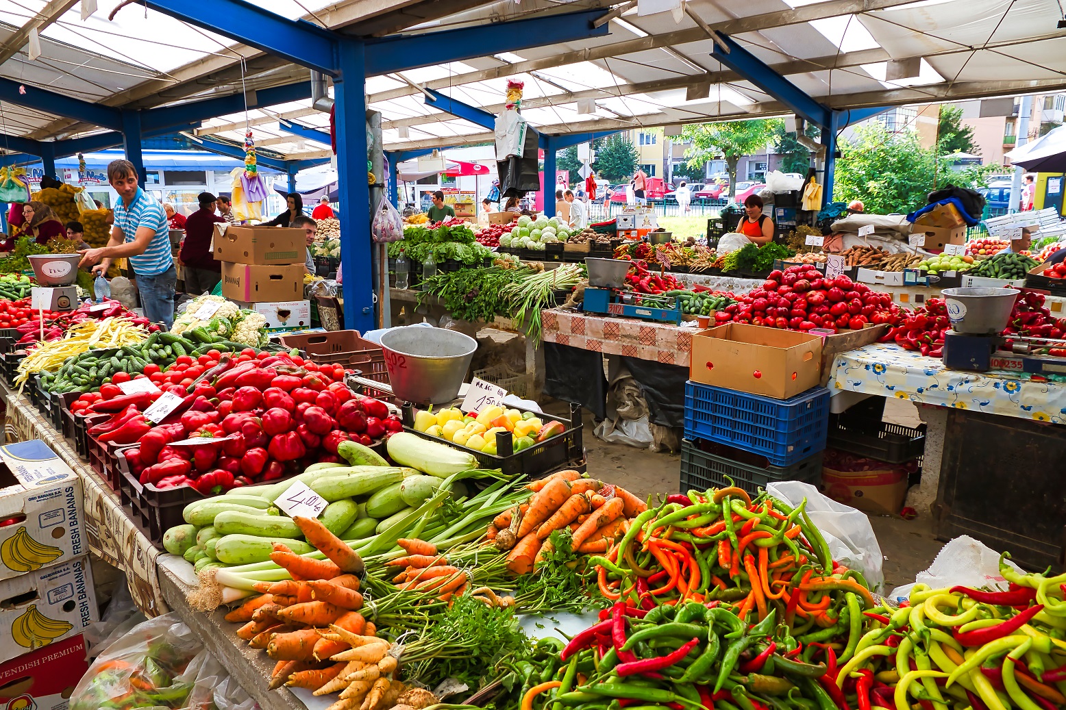 Sibiu market, Romania