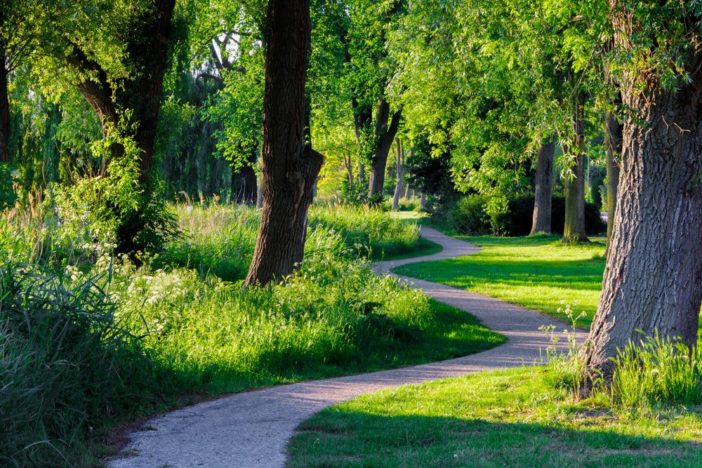 To green up British cities we need a 'right to plant' - Vimarsana News