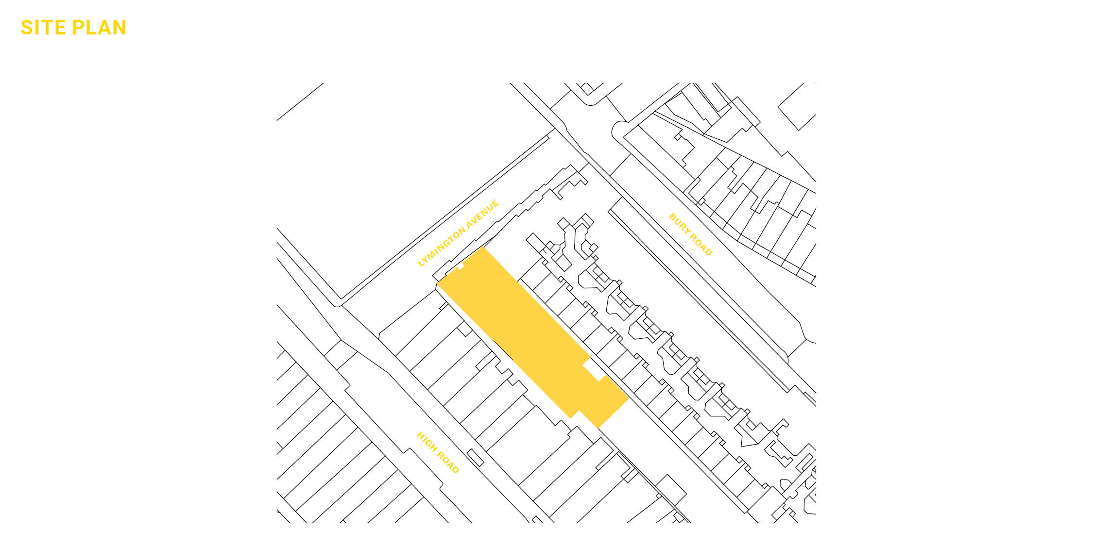 Power of youth: Rising Green by Freehaus