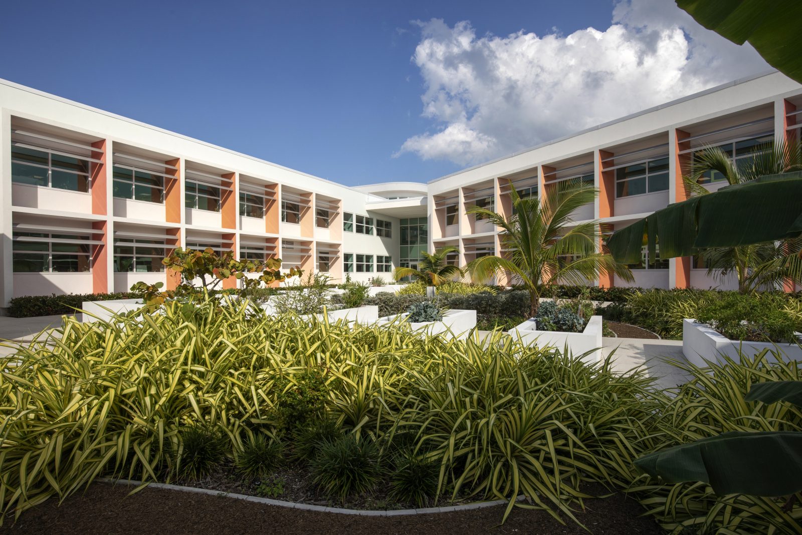 Jestico + Whiles completes £73 million Cayman Islands secondary school