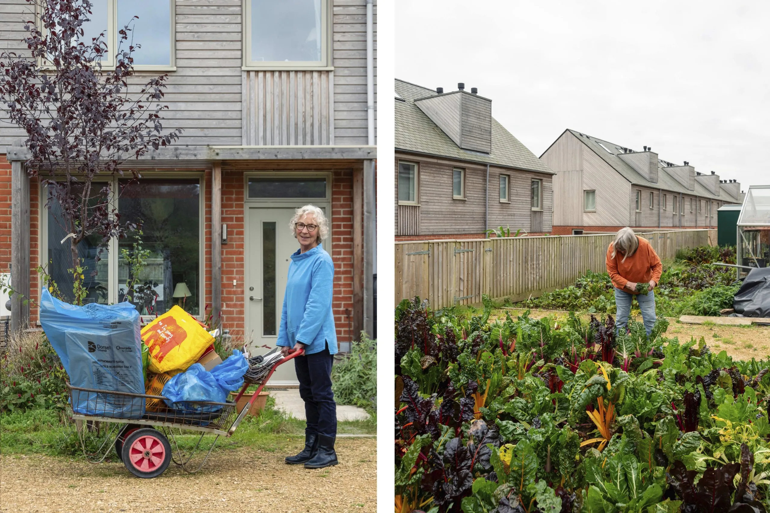 Hazelmead: a DIY utopia designed by people, for people