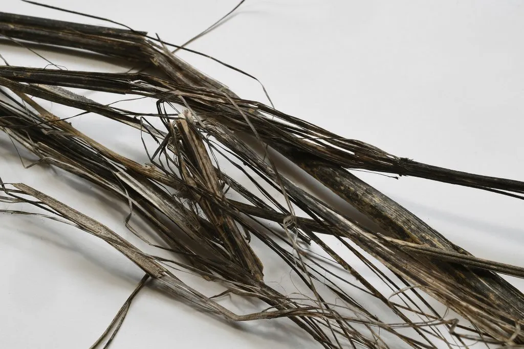 Grandorge: Why is hemp not used more in construction?